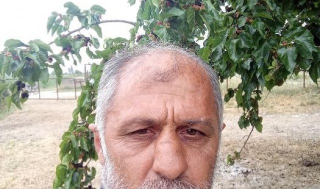 Aydın'da trafik kazası: 1 ölü