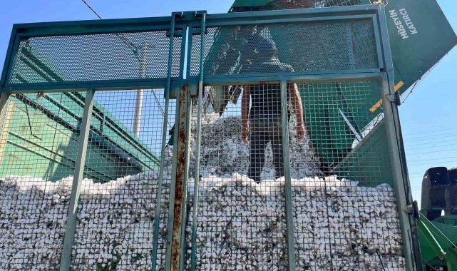 Başkan Zencirci pamuk hasadı yapan üreticilerle buluştu