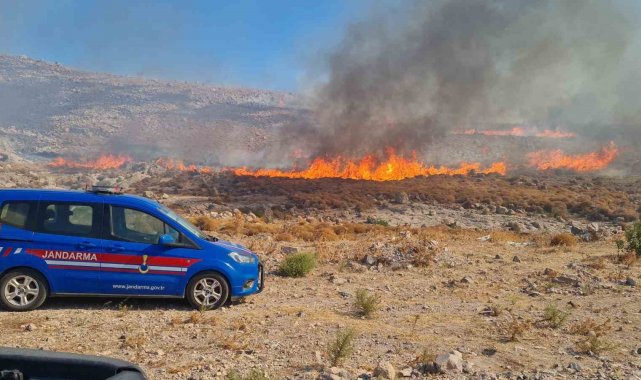 Bodrum'da otluk alanda yangın