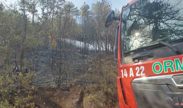 Bolu'da orman yangını kontrol altına alındı