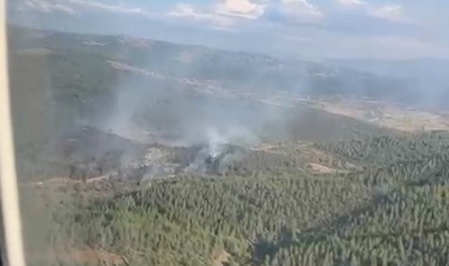 Bursa'da korkutan orman yangını