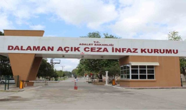 Dalaman Cezaevi'nde yetiştirilen yaklaşık 520 bin kilo limon ihale ile satılacak