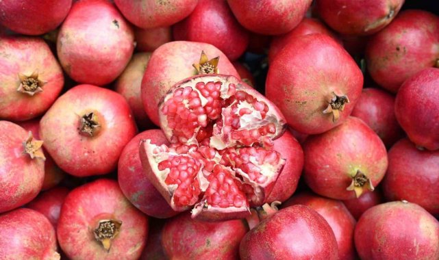 Denizli'de nar hasadı başladı