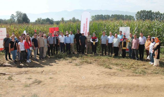 Düzce'de yerli silajlık mısır tarla günü düzenlendi