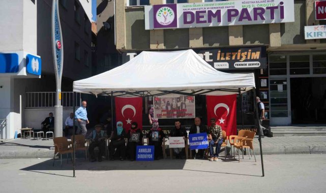 Evladı dağa kaçırılan anne: "Asker de polis de benim oğlumdur"