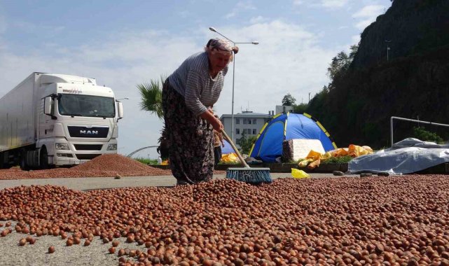 Fındık hem randıman hem de rekolte olarak üreticiyi yanılttı