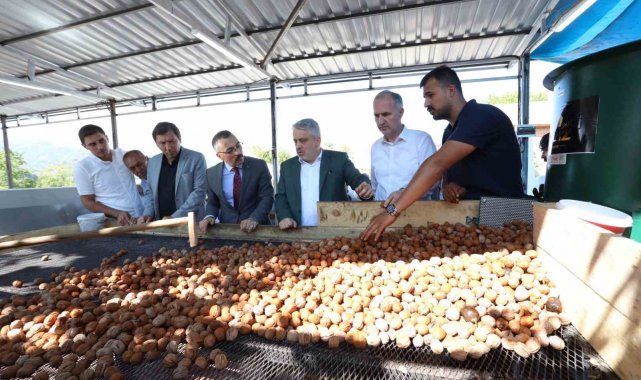 İnegöl'de hedef 42 bin ton ceviz