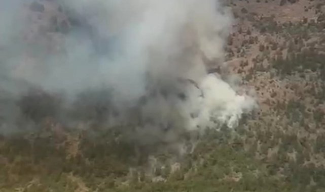 İzmir'deki orman yangınına havadan ve karadan müdahale
