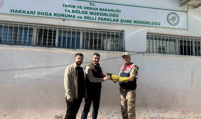 Jandarmadan doğan yavrusuna şefkat eli