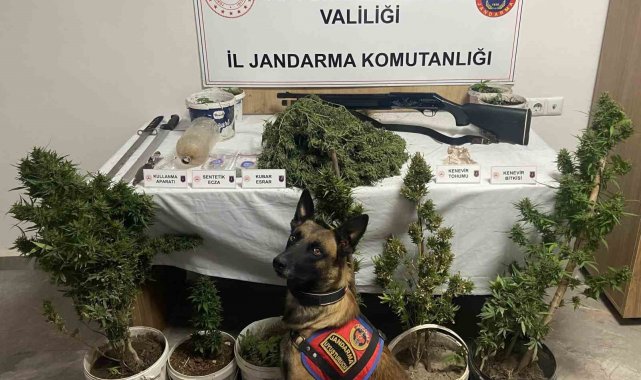 Jandarmadan uyuşturucu operasyonu:6 gözaltı