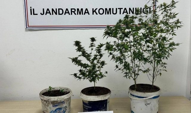 Karabük'te uyuşturucu operasyonu