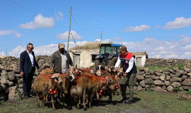 Kars'ta koç katımı yapıldı