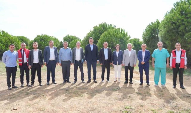 Kayışdağı Ormanı'nda 80 m2'lik sokak hayvanları rehabilitasyon merkezinin projelendirmesi devam ediyor