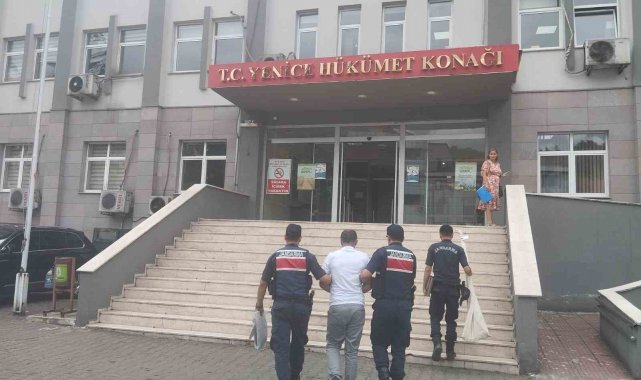 Kenevir bitkisi yetiştiren baba ve oğlu tutuklandı