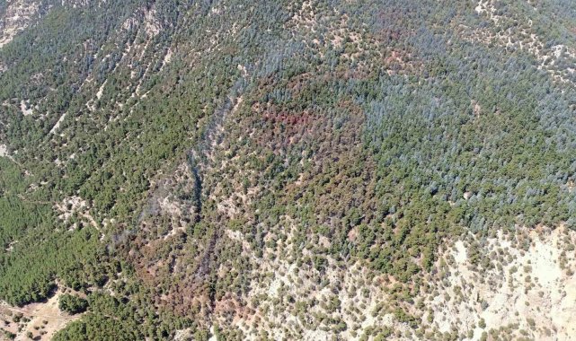 Kumluca'daki orman yangını kontrol altına alındı