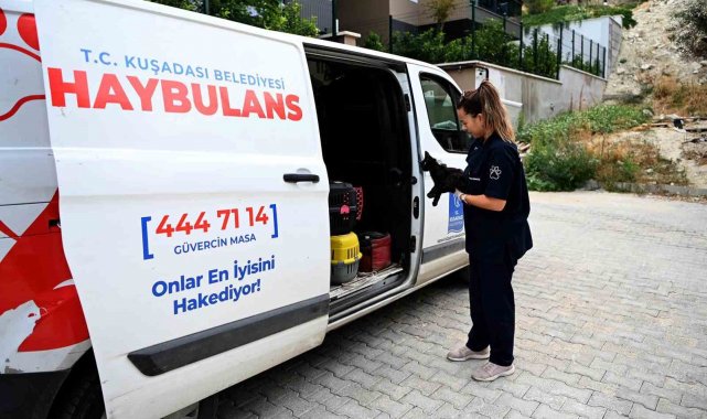 Kuşadası'nda Haybulans 16 bin 614 can dostun yardımına koştu
