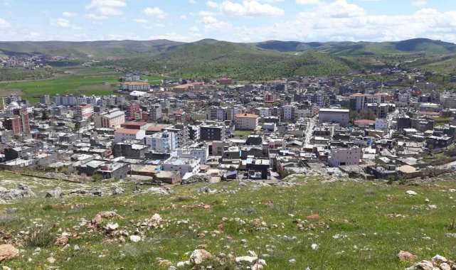 Mardin'de aileler arasında 2 gün süren kavgada 7 kişi yaralandı