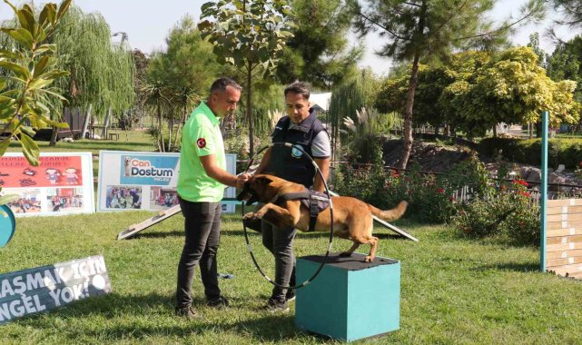 Minik öğrenciler eğitimli köpeklerin gösterisine hayran kaldı