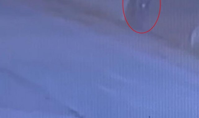 Önce bacağına sonra kafasına sıktı: Dehşet anları kamerada