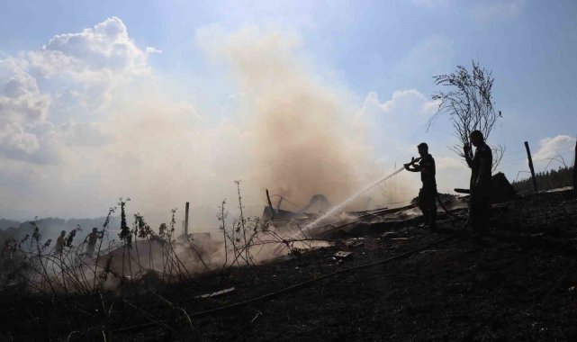 Sakarya'da korkutan yangın: Ahırda başladı, ormanlık alana sıçradı