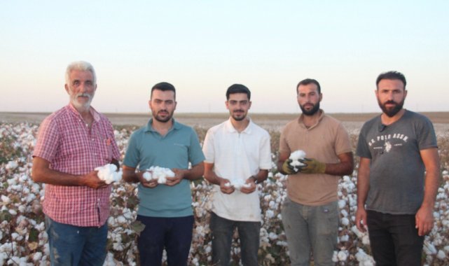 Şanlıurfa'da 'beyaz altın' hasadı başladı
