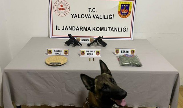 Yalova'da uyuşturucu operasyonu: 1 gözaltı
