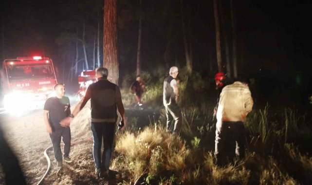 Yangın gece boyu devam etti, Orman Genel Müdürü Vali Akıyık ile geceyi sahada geçirdi