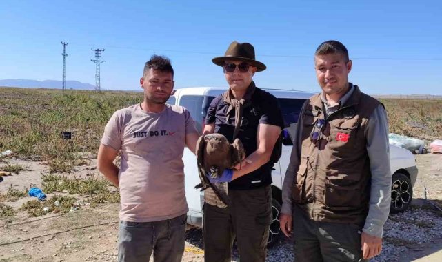 Yaralı kuşlar, tedavi edilerek doğaya bırakılacak