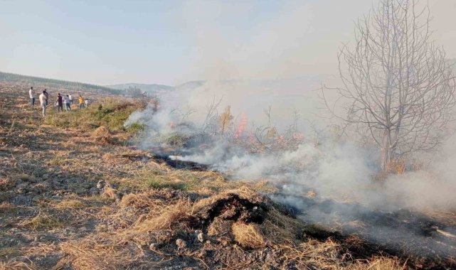 Yenişehir'de ormanlık alanda çıkan yangına havadan ve karadan müdahale edildi