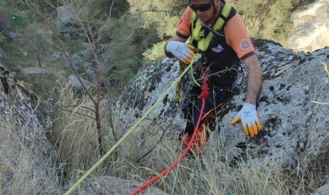 5 gündür kayalıklarda mahsur kalan keçi AFAD ekiplerince kurtarıldı