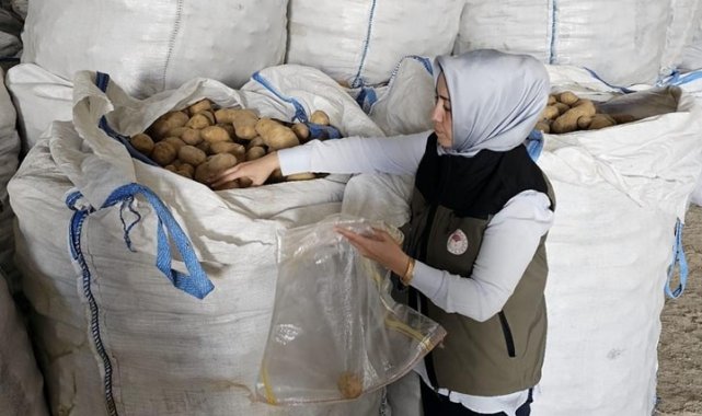 Afyonkarahisar'da Tunus'a 132 ton patates ihracatı yapıldı