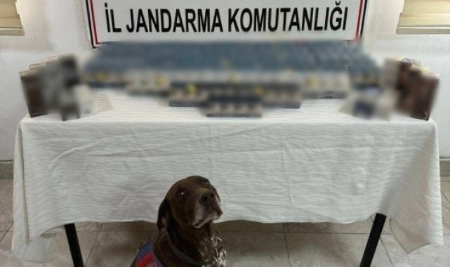 Ağrı'da kaçakçılık operasyonu