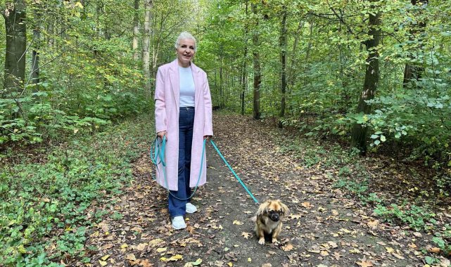 Almanya'da köpek sahipleri her yıl vergi veriyor