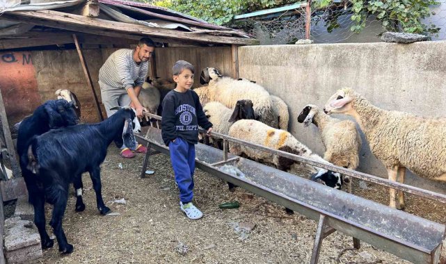 Arabasını satarak hayvancılığa başlayan depremzede baba ve böbrek hastası 2 evladının umudu olan 22 koyunu polis ekipleri buldu