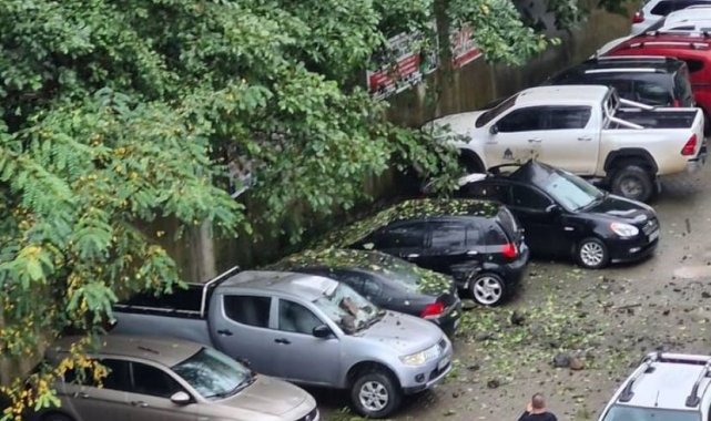 Artvin'in Hopa ilçesinde yamaçtan kopan kayalar park halindeki 7 araca hasar verdi