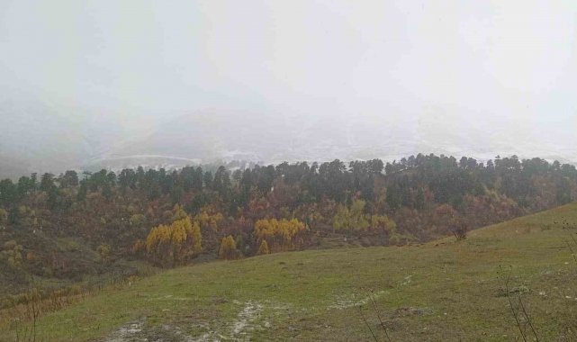 Artvin'in yüksek kesimlerine mevsimin ilk karı düştü