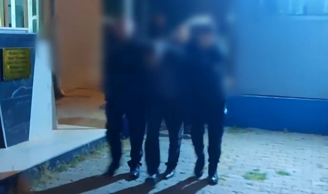 Atların fotoğrafını çekmek istediler, zorbalıkla karşılaştılar