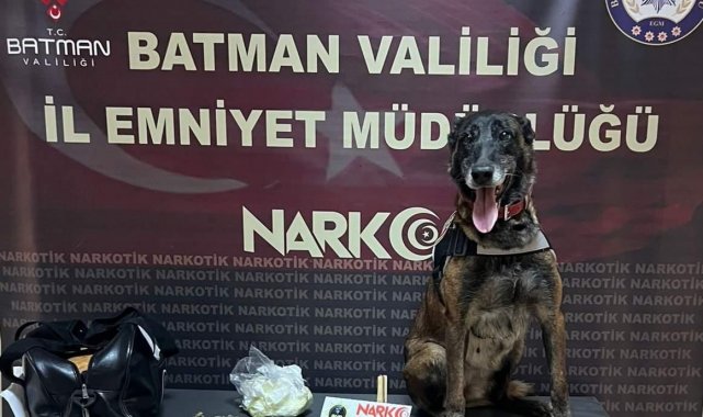 Batman'da durdurulan yolcu otobüsünde skunk madde uyuşturucu yakalandı