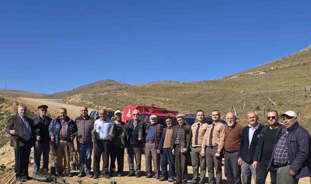 Bektaş Yaylası'nda fidan dikim etkinliği düzenlendi