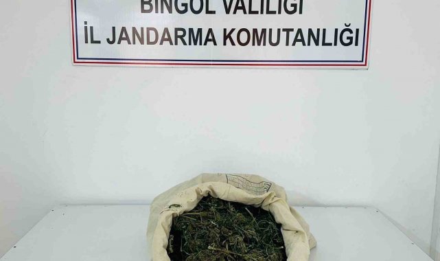 Bingöl'de 1 kilo 975 gram esrar ele geçirildi