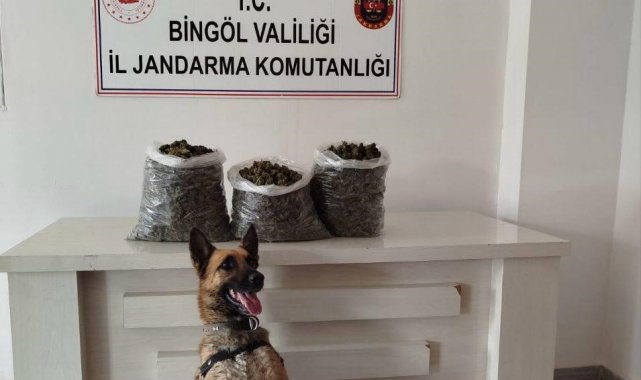 Bingöl'de 4,5 kilo esrar ele geçirildi