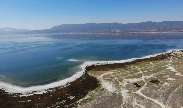 Burdurlu Gazeteciler kuraklıkla boğuşan Burdur Gölü'nü kurtarmak için fidan dikti