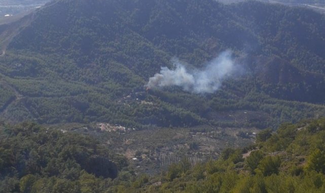 Dalaman'da orman yangını