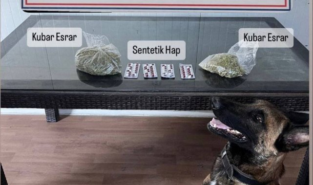 Delta, valizdeki uyuşturucuyu buldu