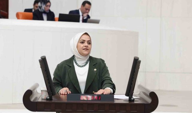 Denizli Milletvekili Sema Silkin Ün şiddet olaylarına karşı kanaat önderlerine seslendi