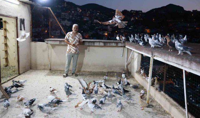Depremin bile vazgeçiremediği 35 yıllık tutkusunu evinin çatısında sürdürüyor