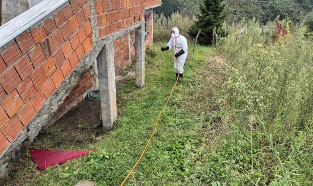 Doğu Karadeniz'in en büyük ilçesi Ortahisar'da kahverengi kokarca ile mücadelede ilaçlama seferberliği başlatıldı