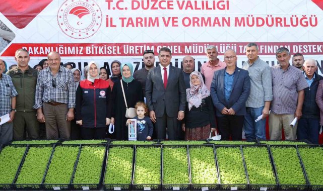 Düzce'de çiftçilere 250 bin marul fidesi dağıtıldı