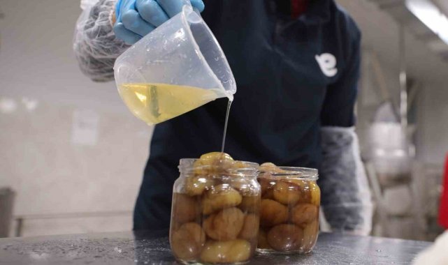 Efeler Belediyesi Fabrikası kestane şekeri üretimine başladı