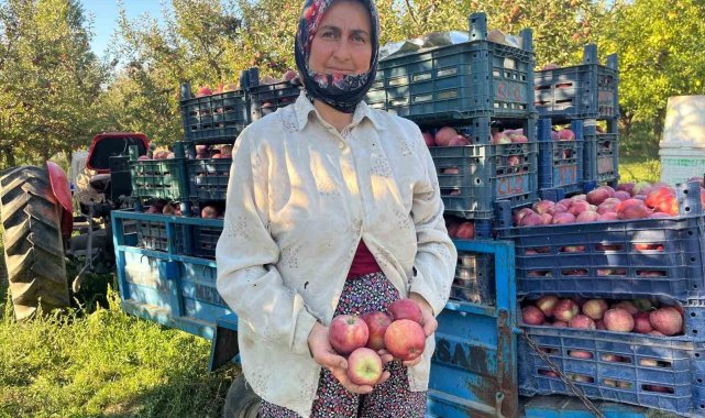 Elma verimi üreticinin yüzünü güldürdü